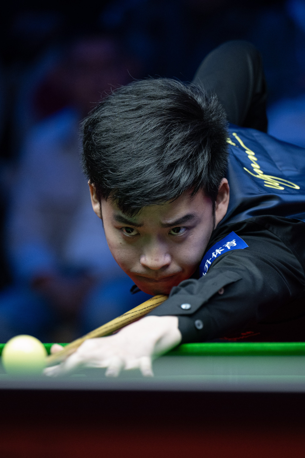 长的养分 长的养分