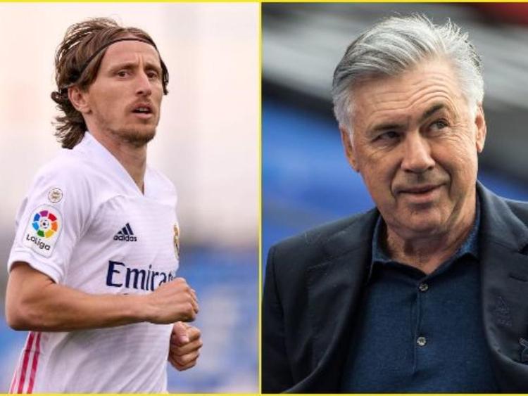 面对松而被 面对松而被